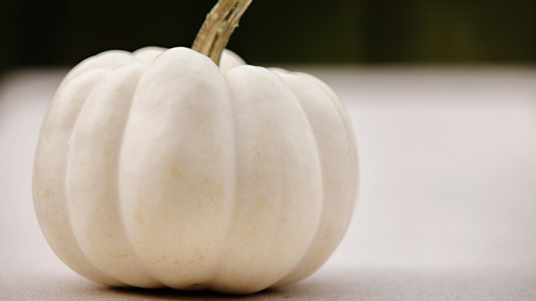 White pumpkin on white table