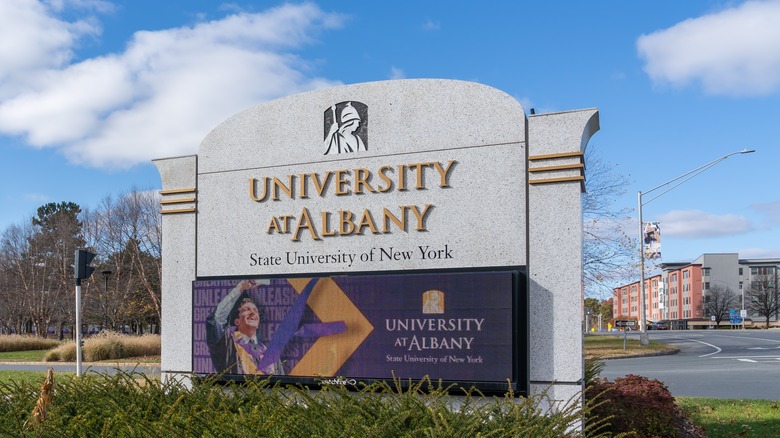 sign for university at albany suny