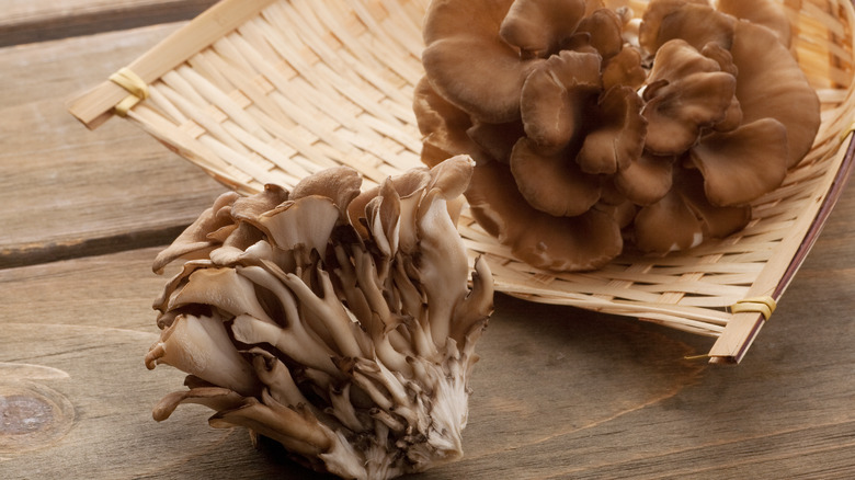 Maitake mushrooms