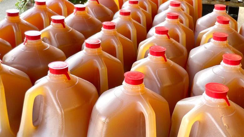 jugs of fresh pressed apple cider