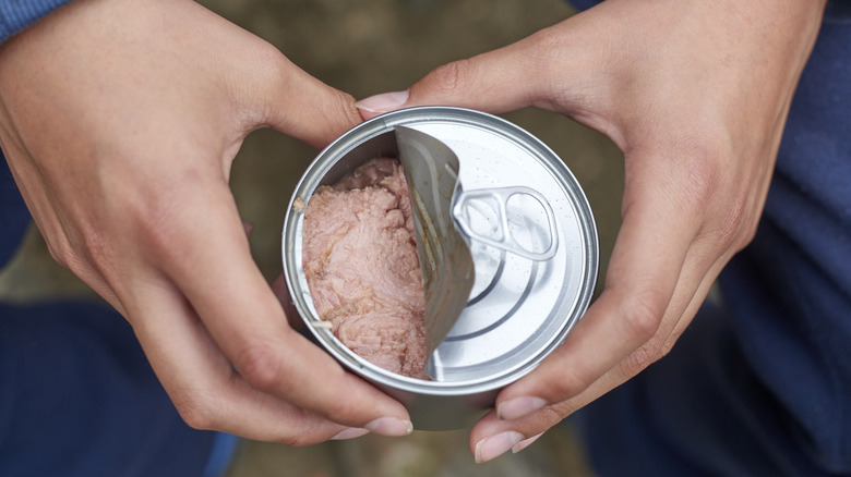 Hands holding half-open can of chicken