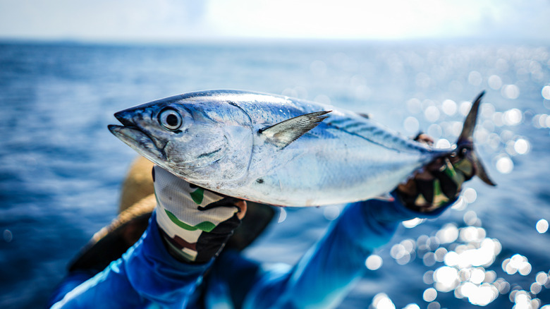 angler holding up tuna