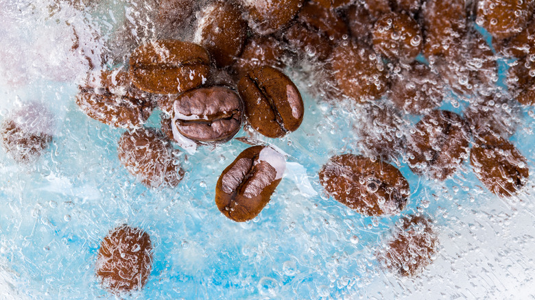 Coffee beans in ice