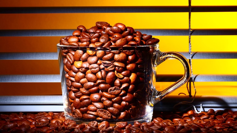 Coffee beans in cup in sunlight