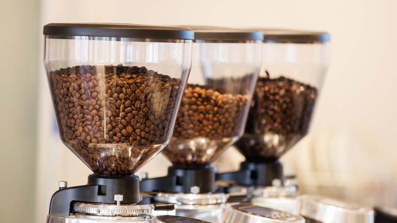 Coffee beans in grinder hoppers