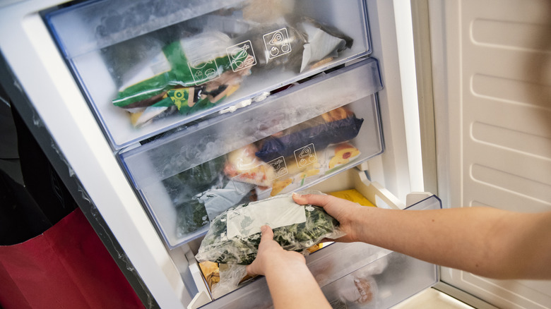 person placing packaged food in freezer