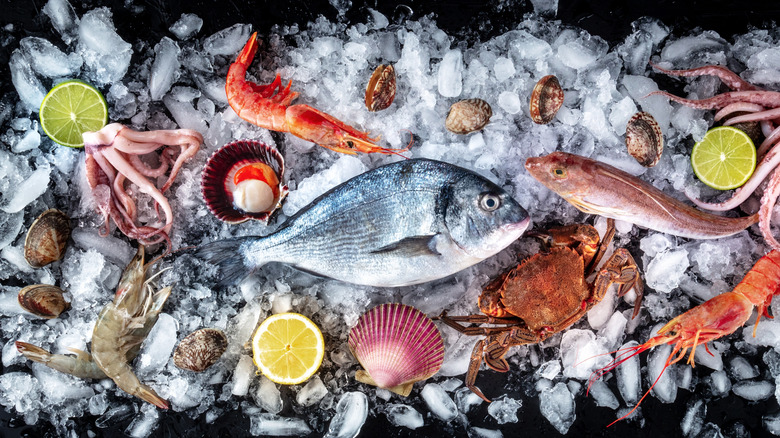 various types of fish and seafood on ice