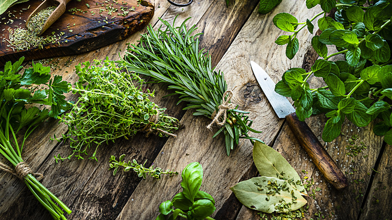 Herbs on rustic table with knife