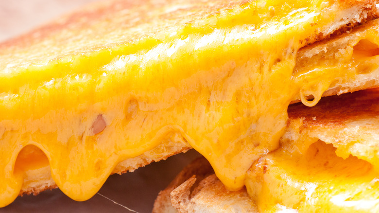 melty grilled cheese