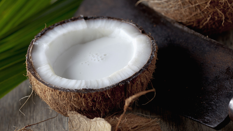 coconut milk in coconut half