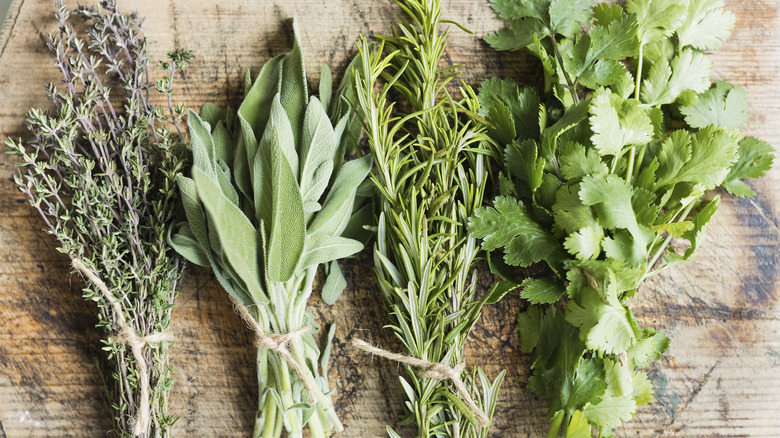 bundles of fresh herbs