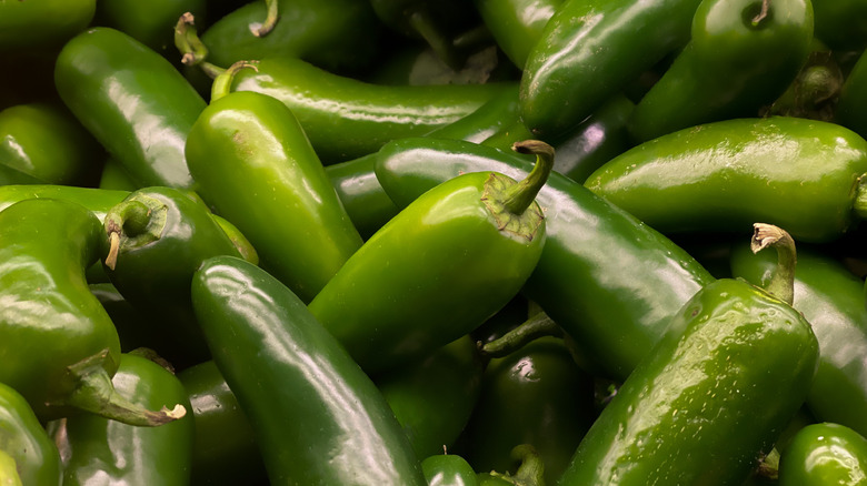 pile of jalapeño peppers