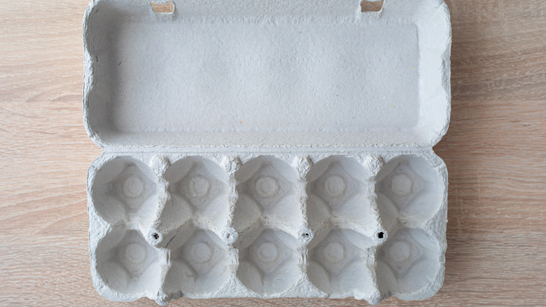 empty egg carton on counter