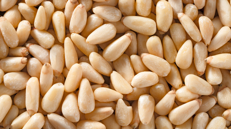 Closeup of pine nuts