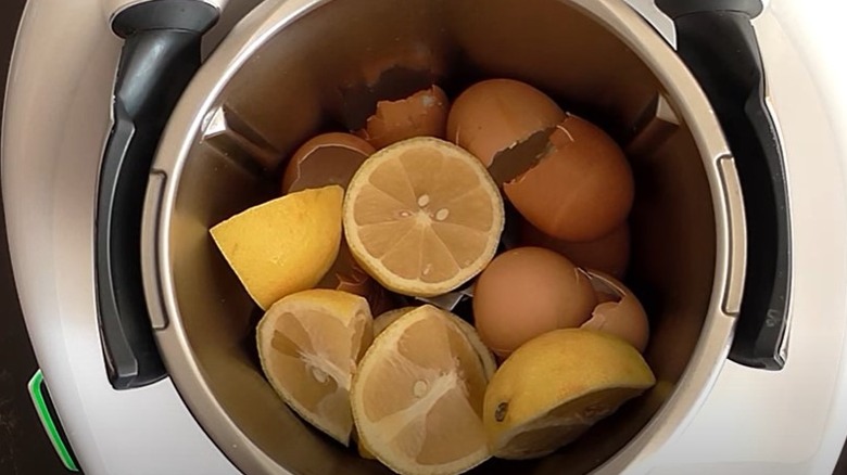 Egg shells, lemons in Thermomix 