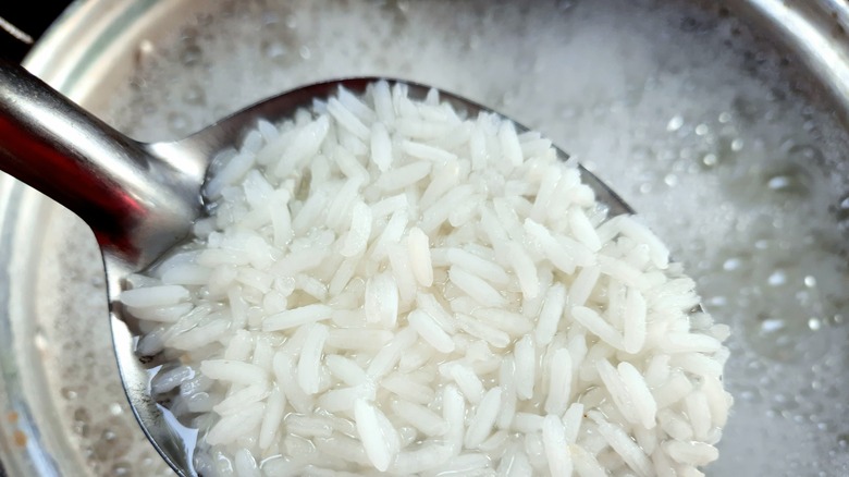 cooking rice