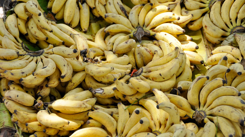 mysore bananas