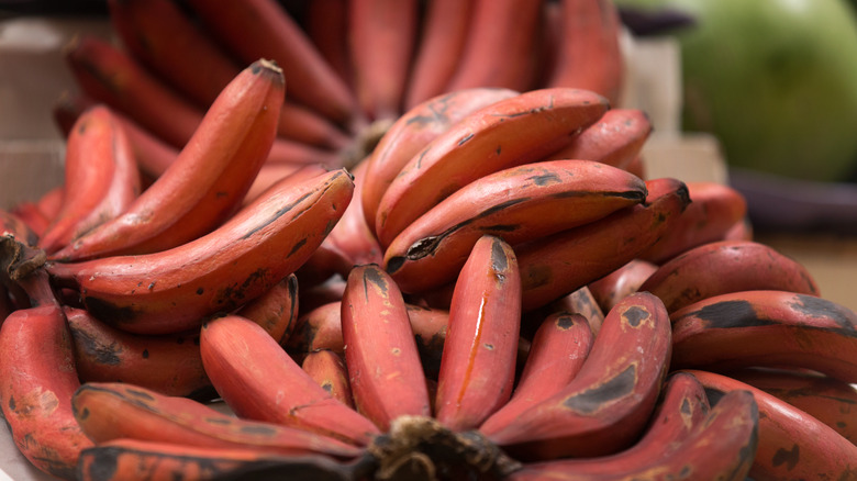 red bananas