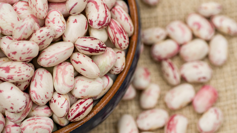 dried cranberry beans in bowl 