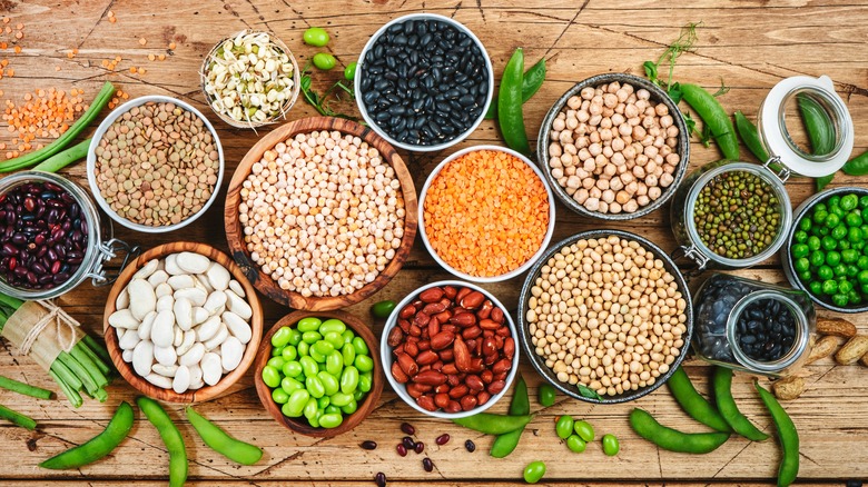 12 Types Of Beans And Legumes That Have The Most Protein