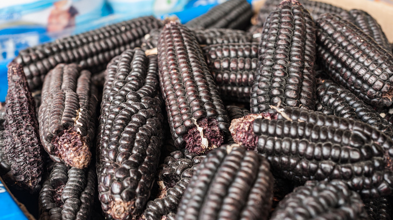 purple corn