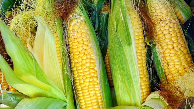 sweet corn