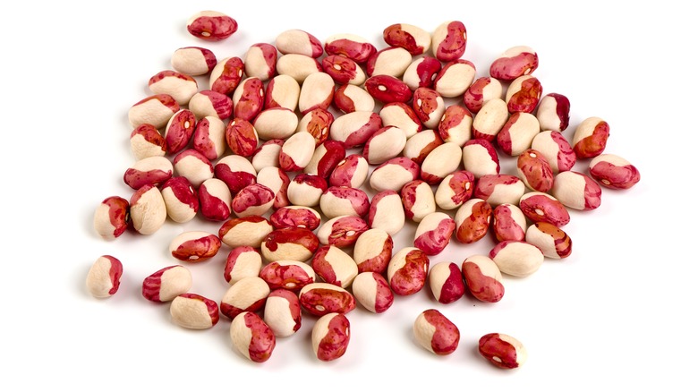 Anasazi beans