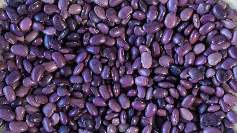 Ayocote morado beans