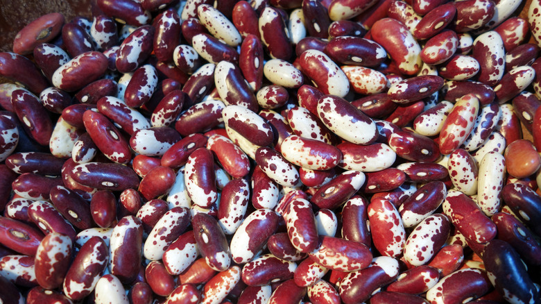 Jacob's cattle beans