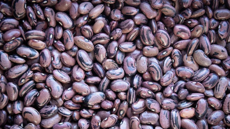 San Franciscano beans