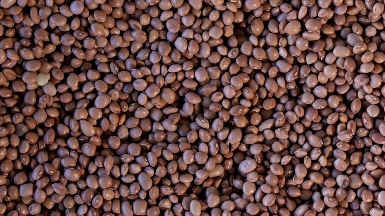 Santa Maria Pinquito beans