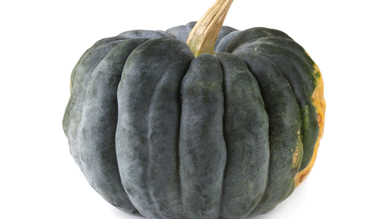 Black futsu pumpkin