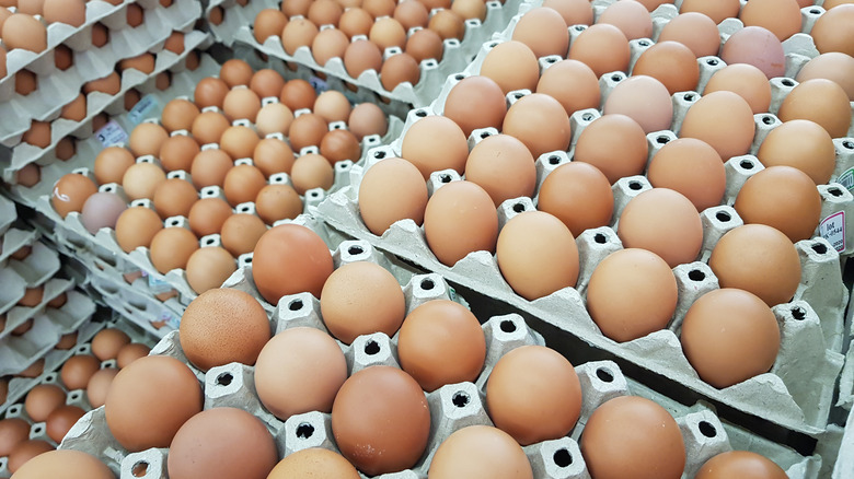 Trays of eggs