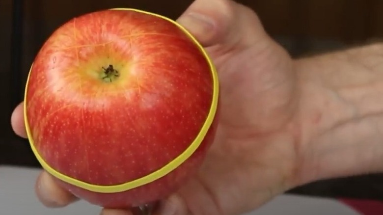 sliced apple held with elastic band