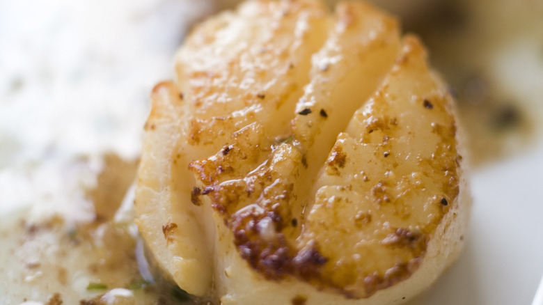 scallops with truffle herb butter