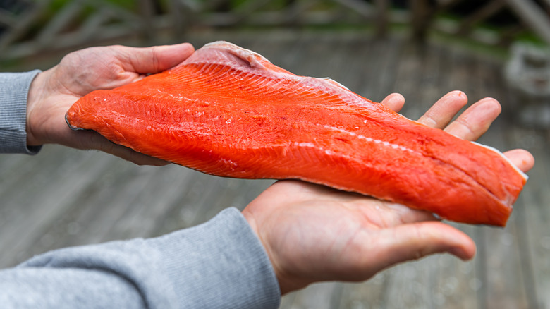 hands holding sockeye salmon filet