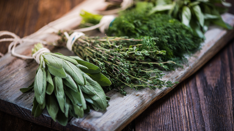 fresh herbs on wooden board