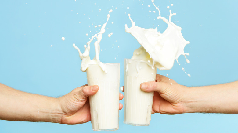 people toasting with glasses of milk