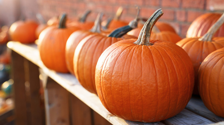 Pumpkins on shelf