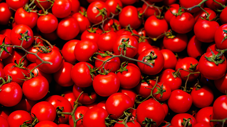 Close-up of cherry tomatoes