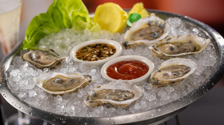 Iced plate of raw oysters