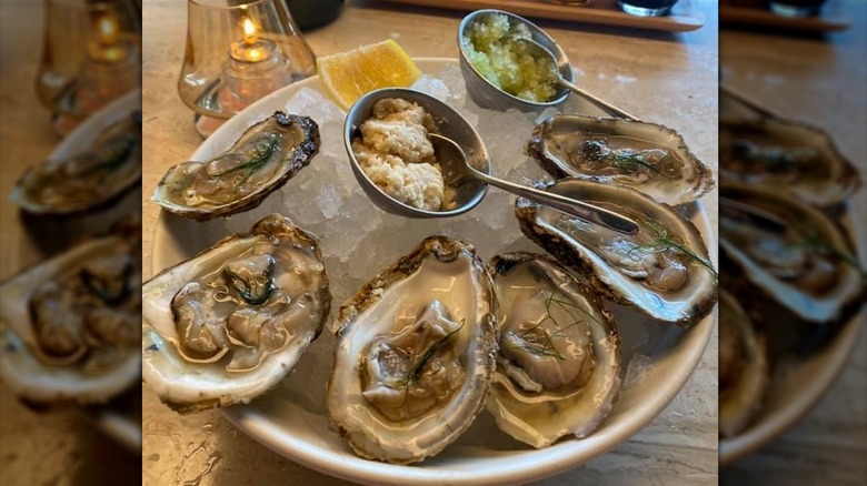 Raw oysters at bar table