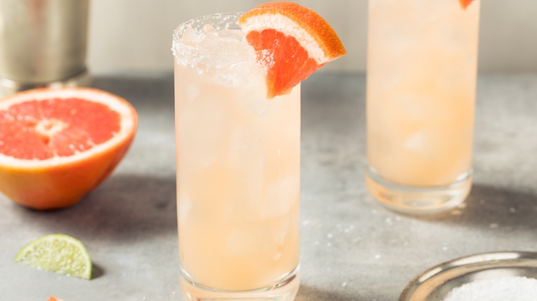 tequila and grapefruit paloma cocktail