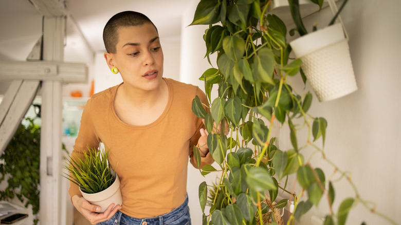 woman tending to houseplants