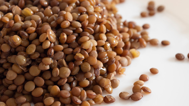 cooked brown lentils