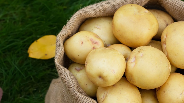 yukon gold potatoes