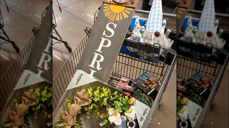 Aldi items in cart 