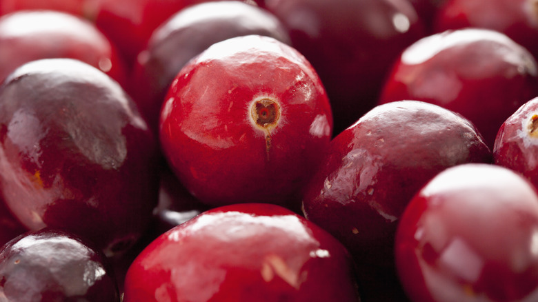 Closeup of cranberries