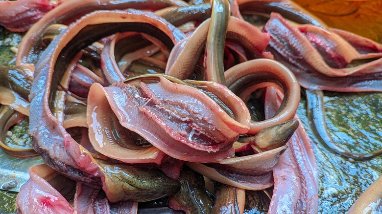 Sliced eel ready for cooking