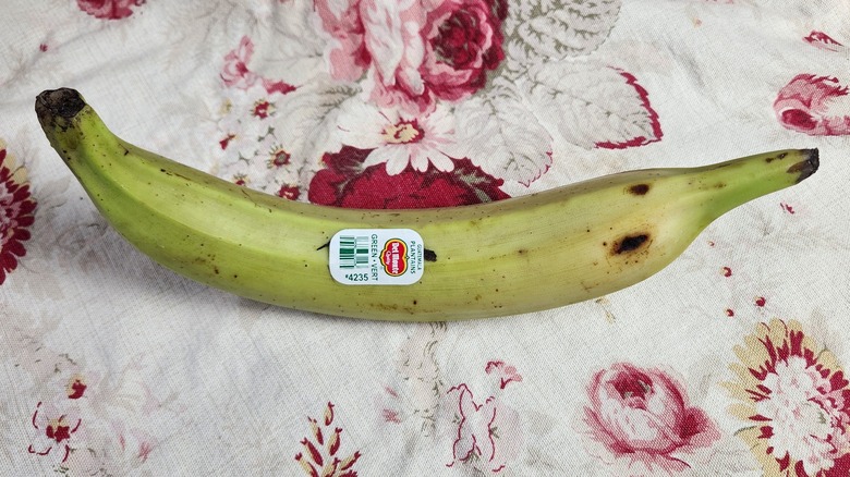 plantain